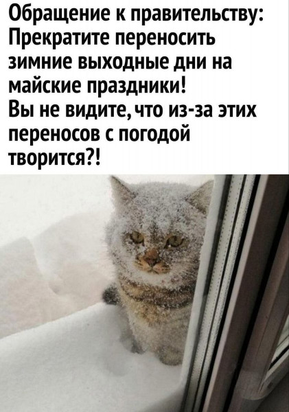 Мем №1598839