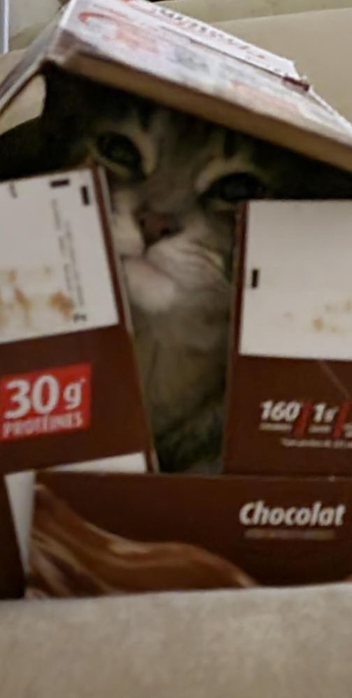 
        25&nbsp;фото очаровательных симпатяг, открытость которых растопит даже ледяное сердце    