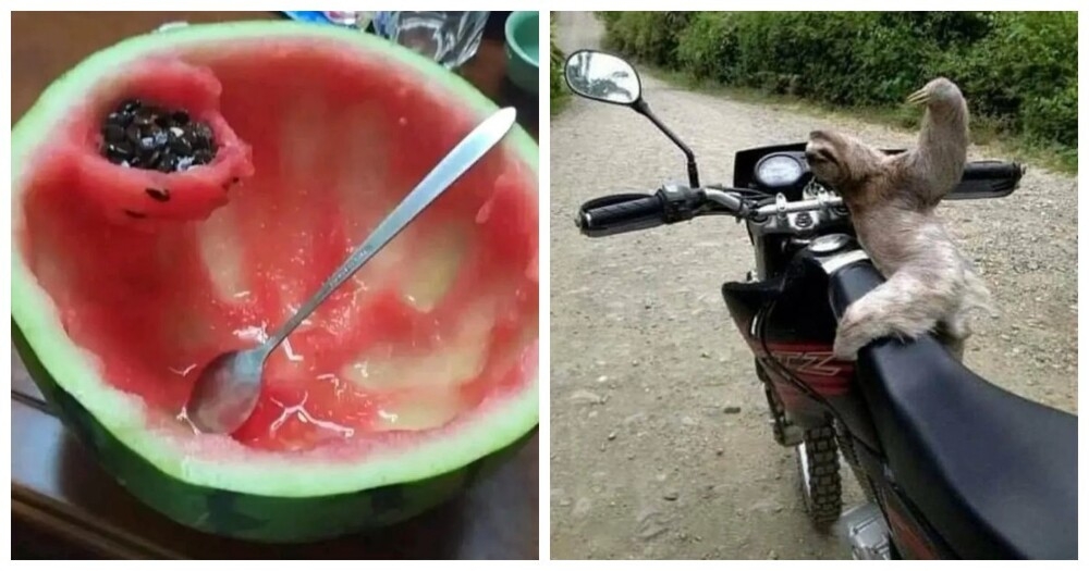 
        25&nbsp;реальных жизненных моментов, которые невозможно выдумать    