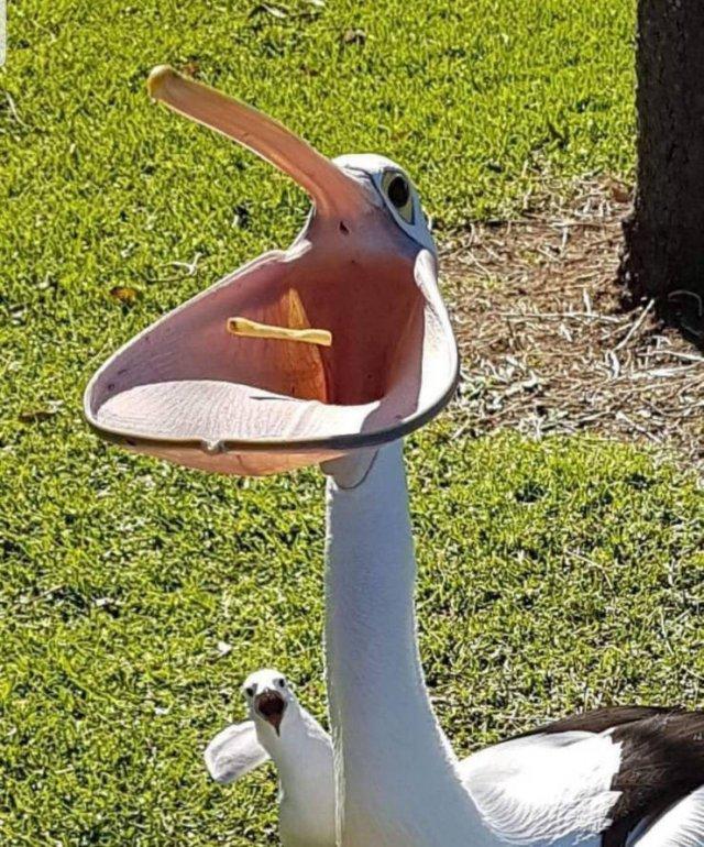 Подборка прикольных фото №3932