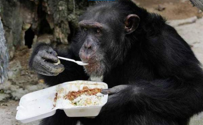 Подборка прикольных фото №3933