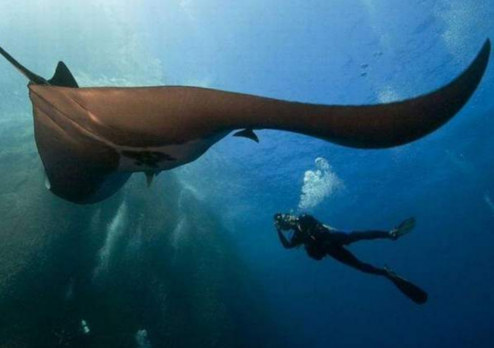 Подборка прикольных фото №3925