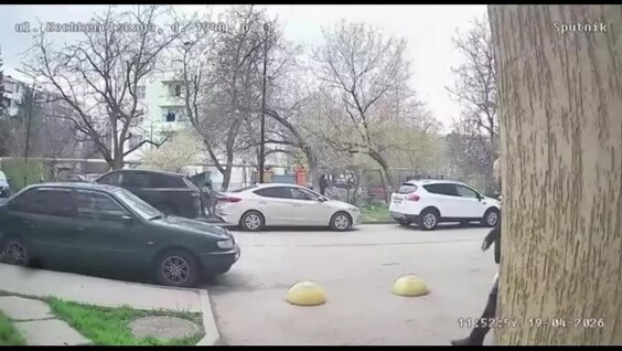 
        Мужчина пнул спящую собаку в&nbsp;Симферополе    