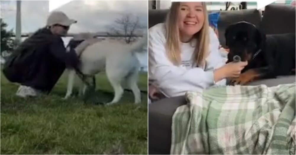 Девушка ушла из IT и стала собачьей няней
Девушка ушла из IT и стала собачьей няней