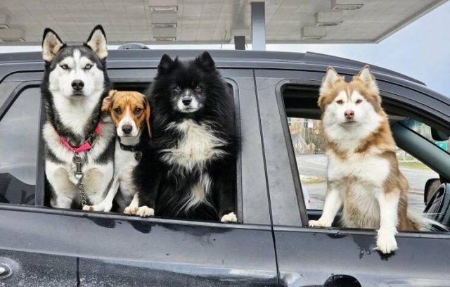 Подборка прикольных фото №3922