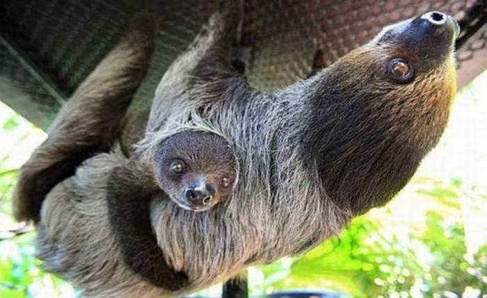 Подборка прикольных фото №3929