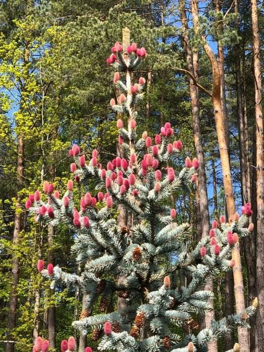 Подборка прикольных фото №3930