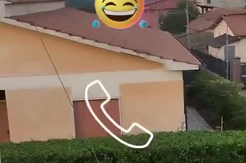 
        &laquo;Нет&nbsp;интернета второй день&raquo;: клиент пожаловался на&nbsp;работу провайдера    