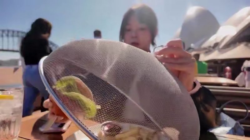 
        Девушка показала, зачем в&nbsp;кафе используют сетчатые крышки для&nbsp;еды    