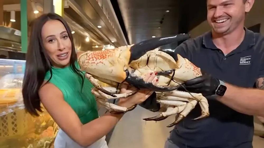 
        Краб атаковал журналистку в&nbsp;эфире &mdash; её&nbsp;&laquo;месть&raquo; удивила зрителей    