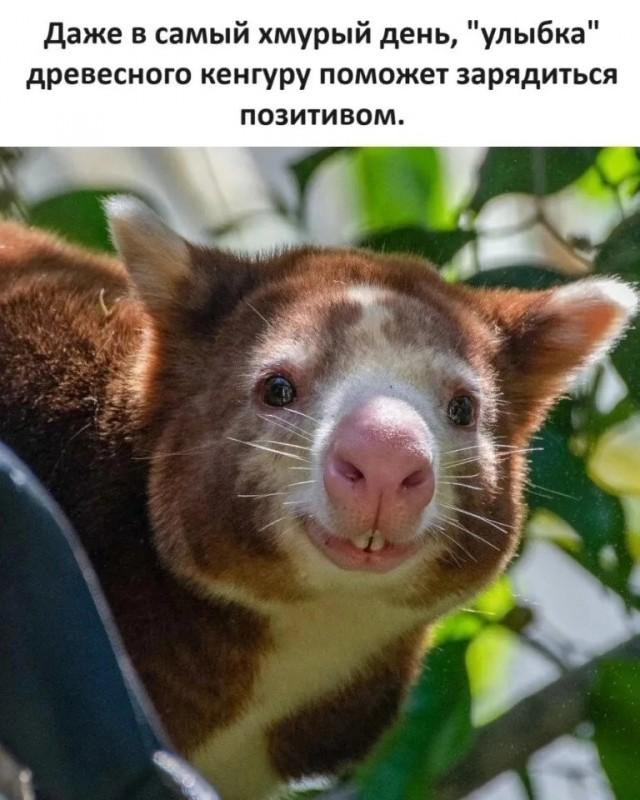 Подборка прикольных фото №3938