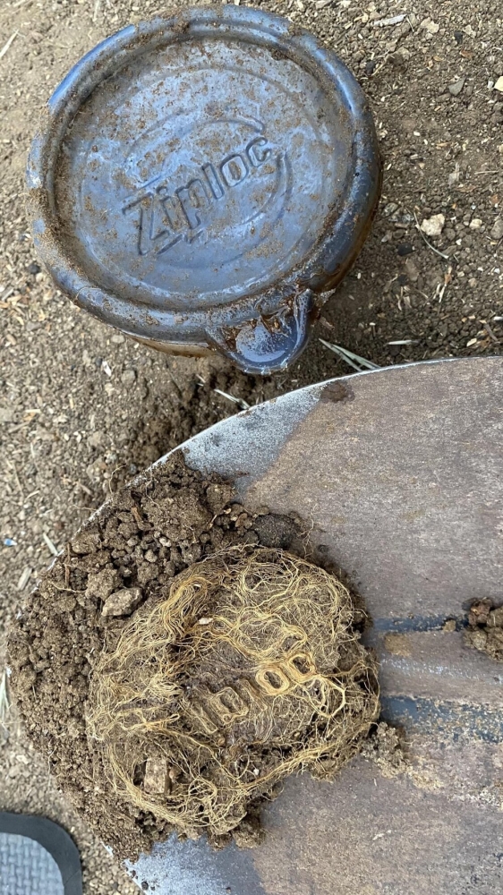 
        22&nbsp;случая, когда мать-природа включила режим &laquo;рояль в&nbsp;кустах&raquo;    