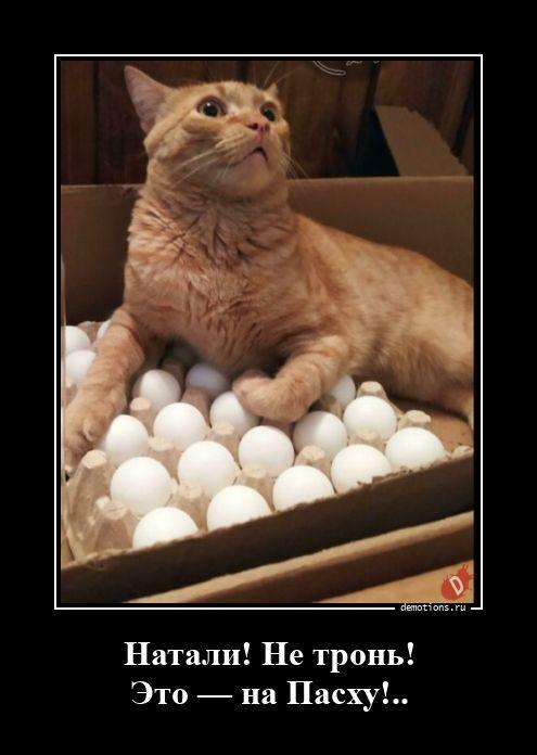 
			Демотиваторы №3793 (20 фото)