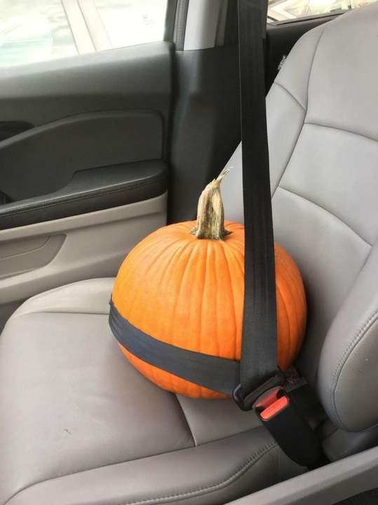 Подборка прикольных фото №3936