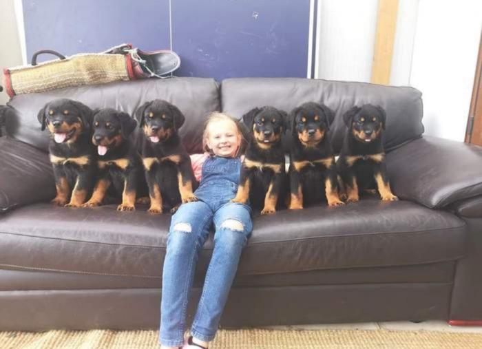 Подборка прикольных фото №3935