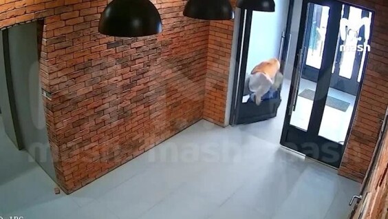 
        Болезненные падения невнимательных жителей дома в&nbsp;Калужской области    