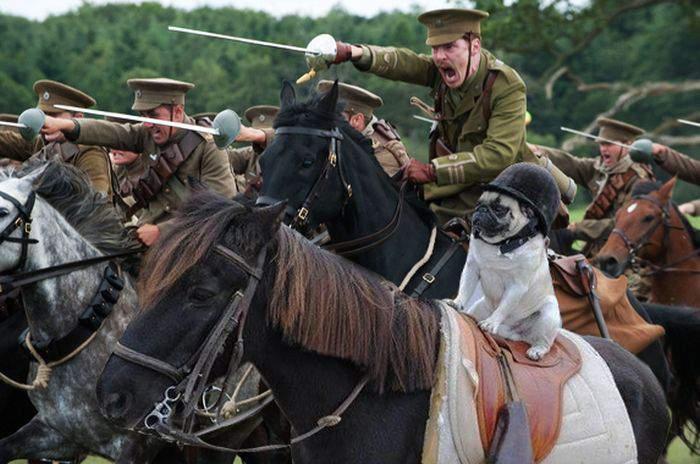 Подборка прикольных фото №3935