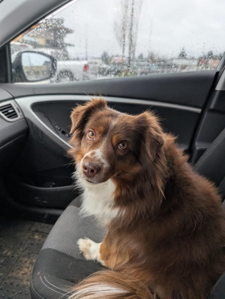 
        25&nbsp;фото очаровательных симпатяг, открытость которых растопит даже ледяное сердце    