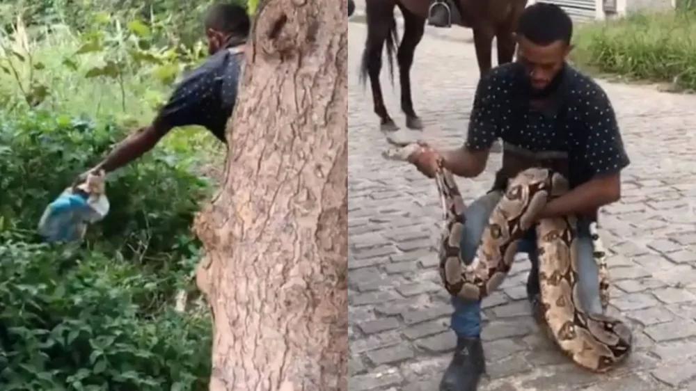 
        Мужчина против 3-метрового удава    