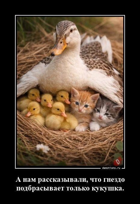 
			Демотиваторы №3793 (20 фото)