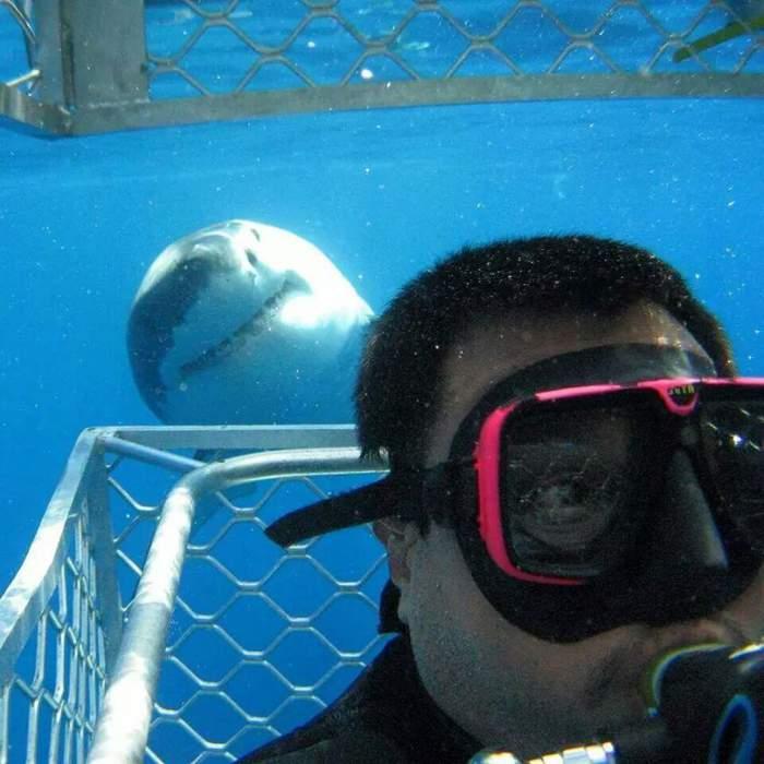 Подборка прикольных фото №3930