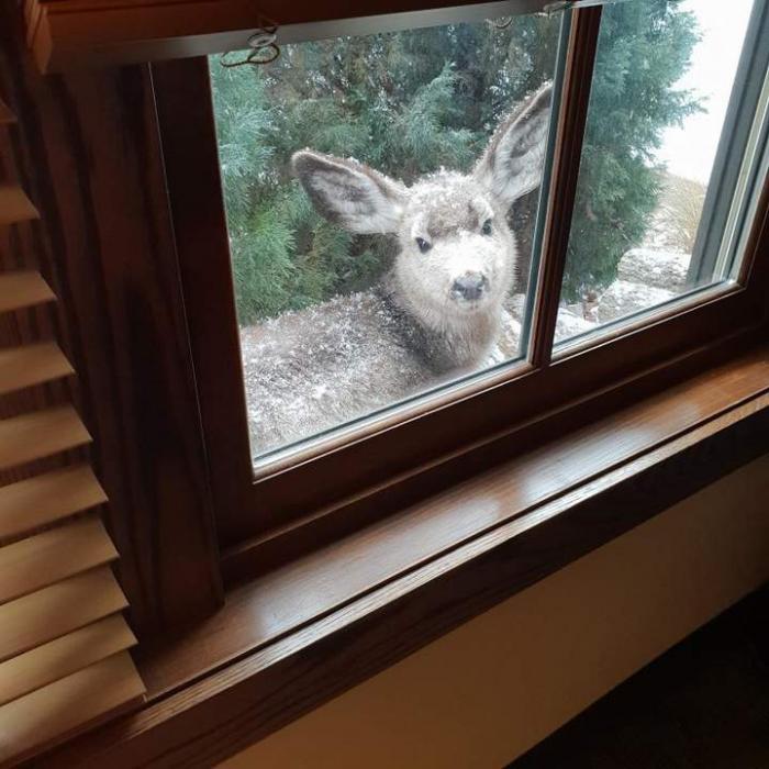 Подборка прикольных фото №3926