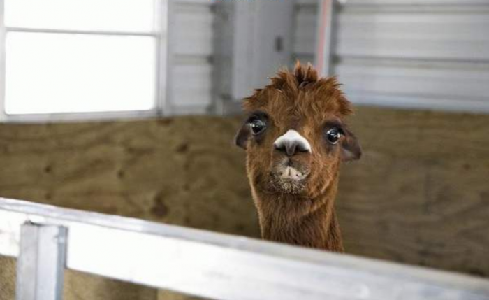 Подборка прикольных фото №3920