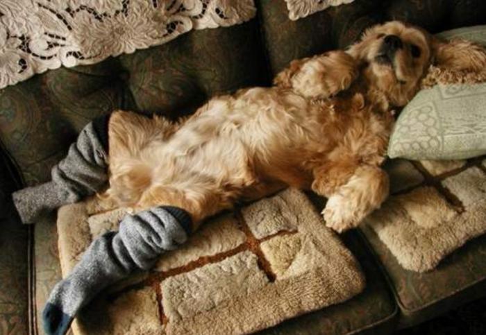 Подборка прикольных фото №3926