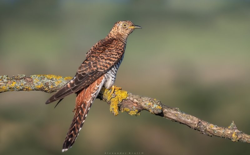 
        8&nbsp;фактов, которые заставят переосмыслить кое-что в&nbsp;этой жизни    