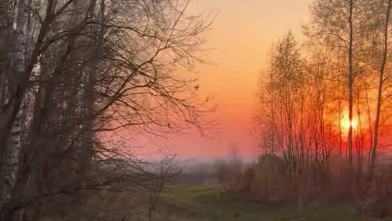 Тёплая деревенская жизнь: как девушки находят радость в простых вещах
Тёплая деревенская жизнь: как девушки находят радость в простых вещах