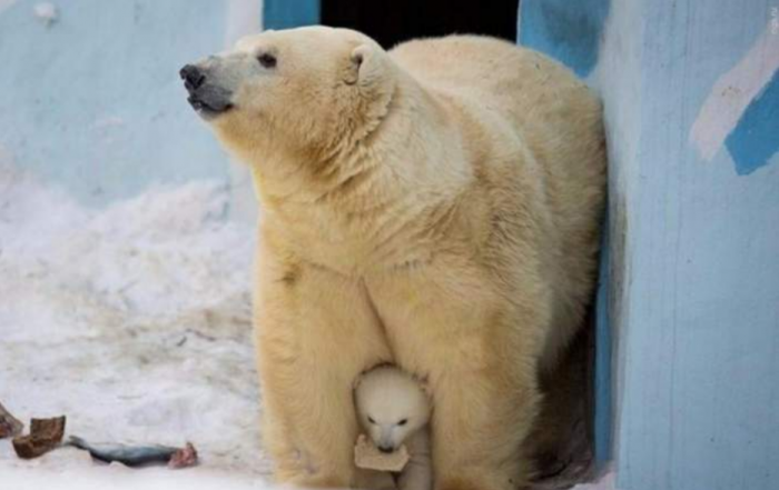 Подборка прикольных фото №3935