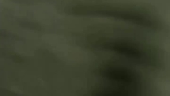 
        Большой переезд у&nbsp;садовника    