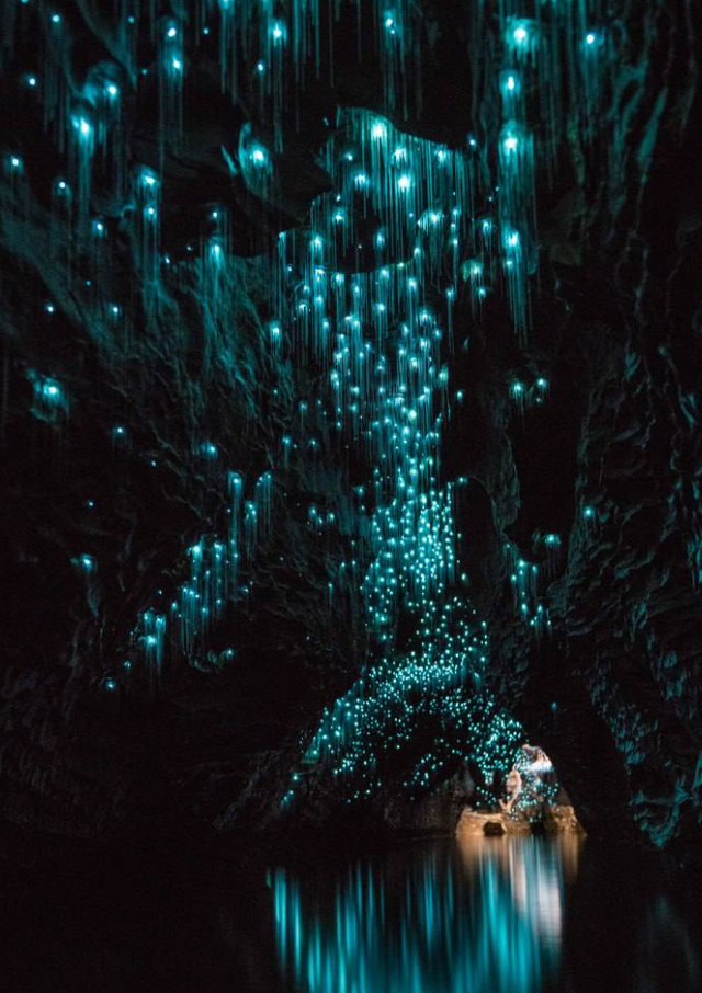 Пещеры Вайтомо: подземное звездное небо Новой Зеландии Пещеры Вайтомо (3 фото + видео)