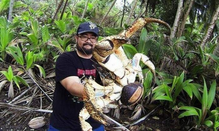 Подборка прикольных фото №3934