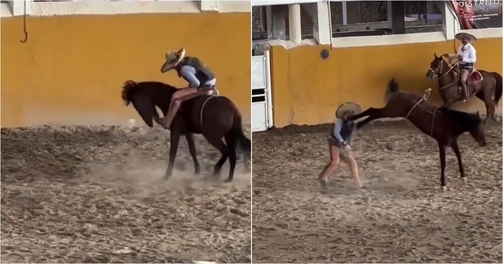 
        Лошадь укусила и&nbsp;ударила ковбоя на&nbsp;соревнованиях в&nbsp;Техасе    