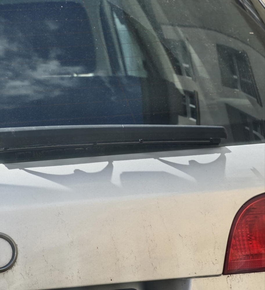 
        25&nbsp;историй о&nbsp;том, как&nbsp;увлечённо мир&nbsp;рисует для&nbsp;нас&nbsp;мультики    