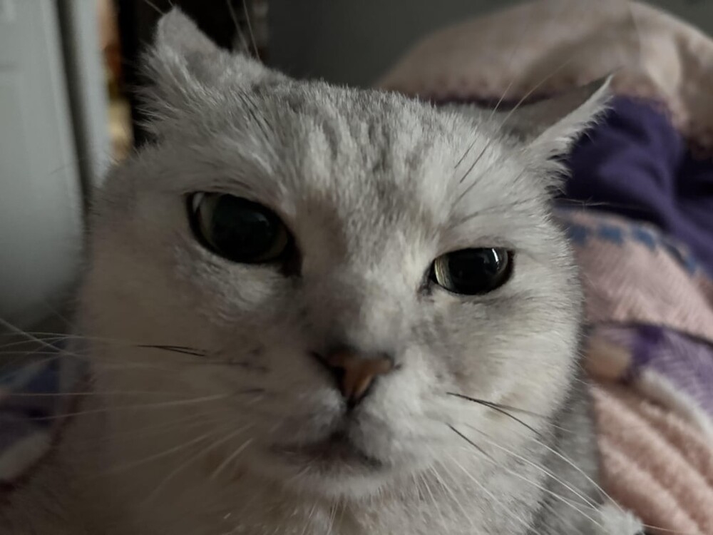 
        25&nbsp;фото очаровательных симпатяг, открытость которых растопит даже ледяное сердце    