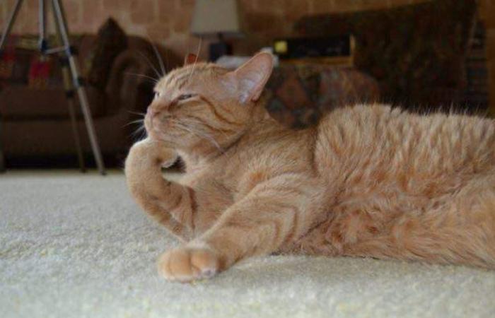 Подборка прикольных фото №3930