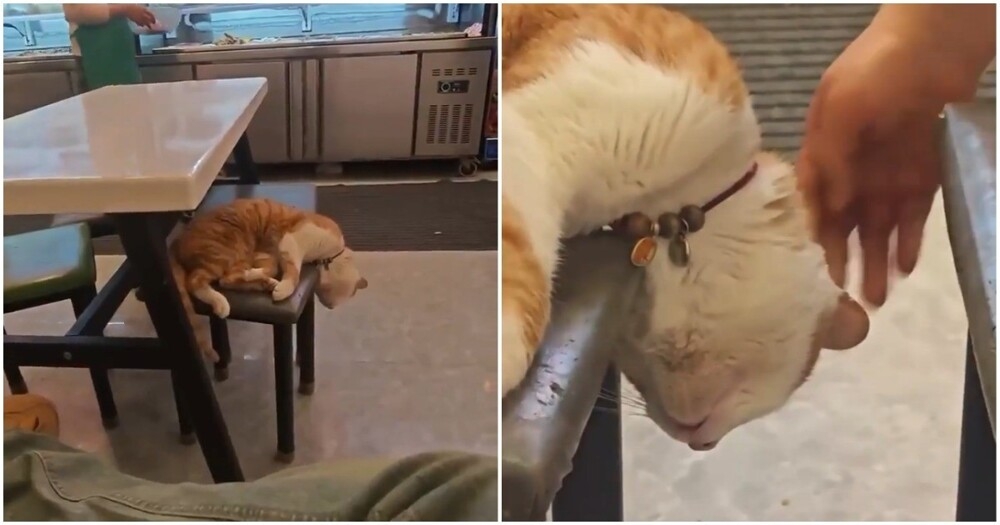 
        Максимальная забота о&nbsp;клиенте    