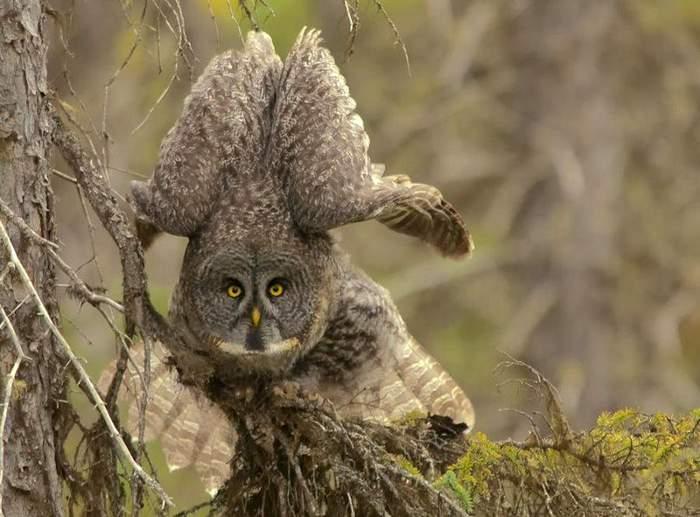 Подборка прикольных фото №3935