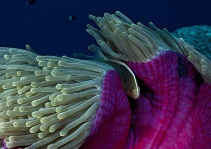 Подборка прикольных фото №3934