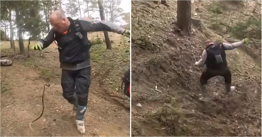 С такими друзьями врагов не нужно
С такими друзьями врагов не нужно