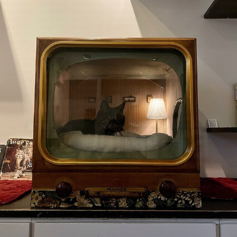 
        Лежанки из&nbsp;старых телевизоров и&nbsp;радиоприёмников    