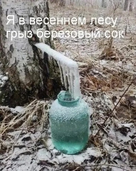 Мем №1598837