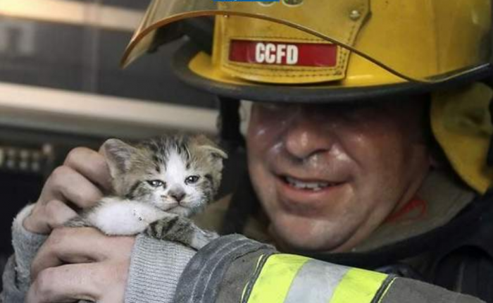 Подборка прикольных фото №3931