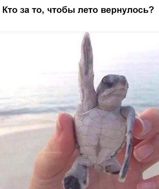 Подборка прикольных фото №3924