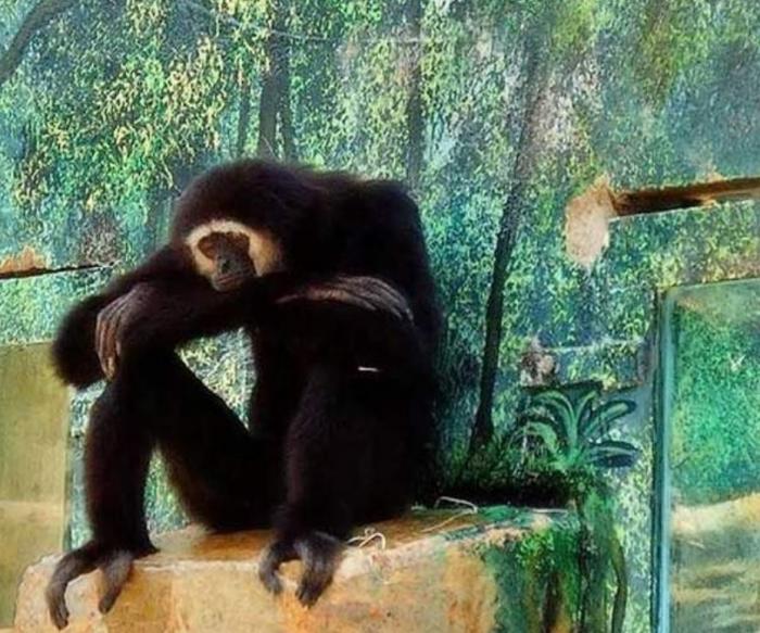 Подборка прикольных фото №3929