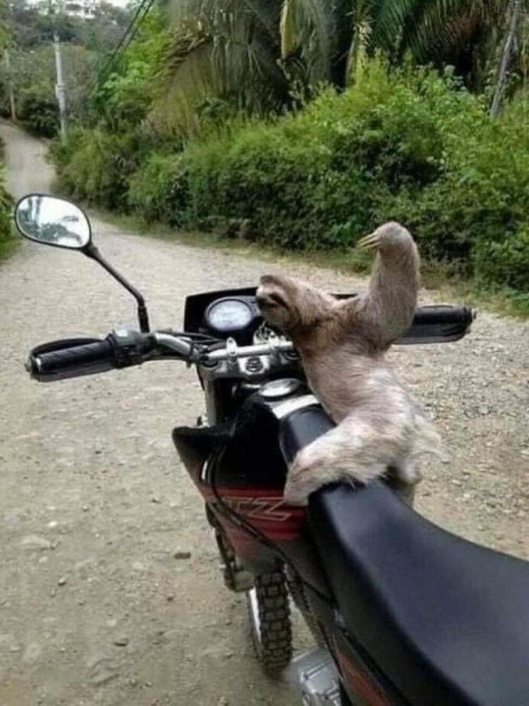 
        25&nbsp;реальных жизненных моментов, которые невозможно выдумать    