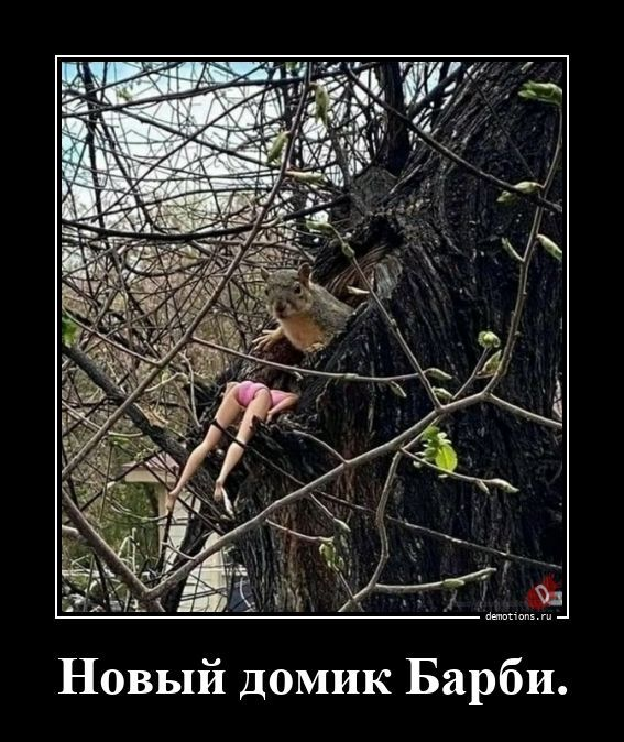 
			Демотиваторы №3792 (20 фото)