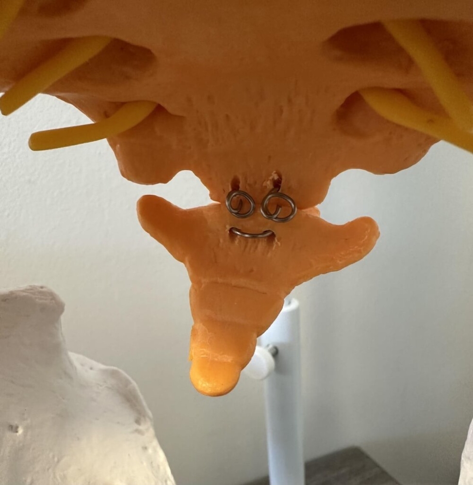 
        25&nbsp;историй о&nbsp;том, как&nbsp;увлечённо мир&nbsp;рисует для&nbsp;нас&nbsp;мультики    